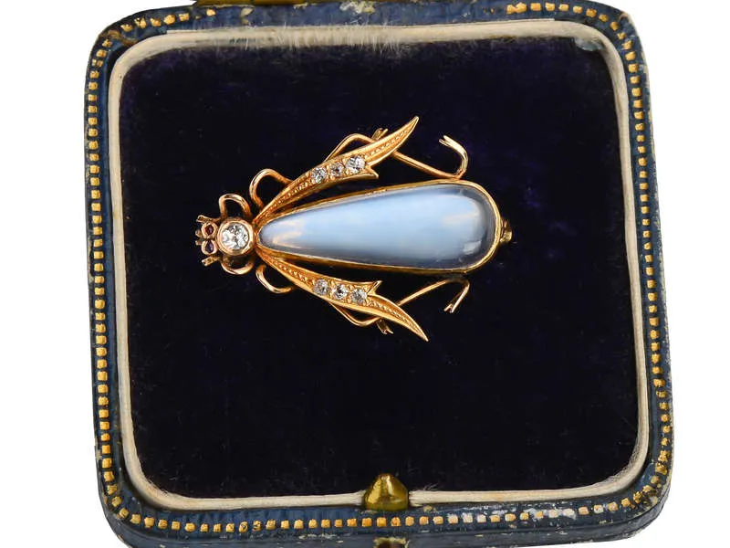 Antique Blue Moonstone Insect Brooch in Box