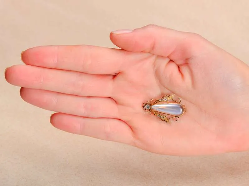 Antique Blue Moonstone Insect Brooch in Box