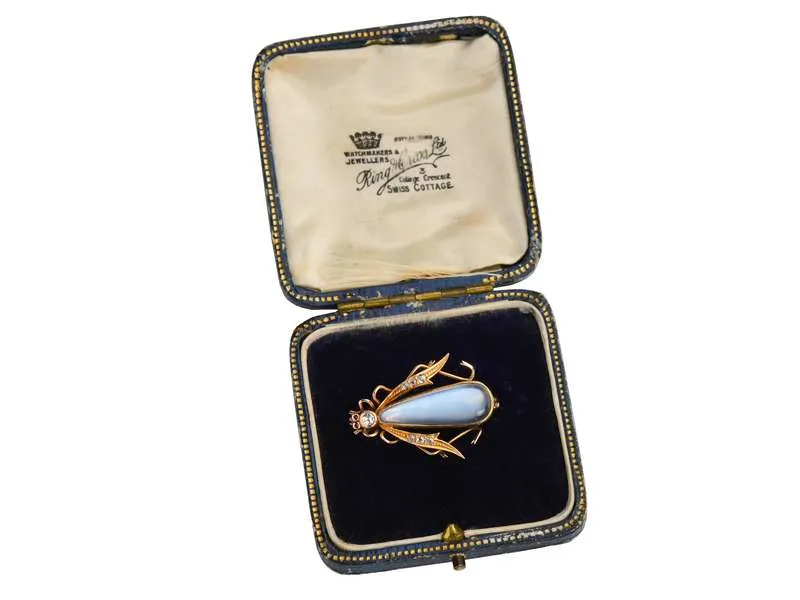 Antique Blue Moonstone Insect Brooch in Box