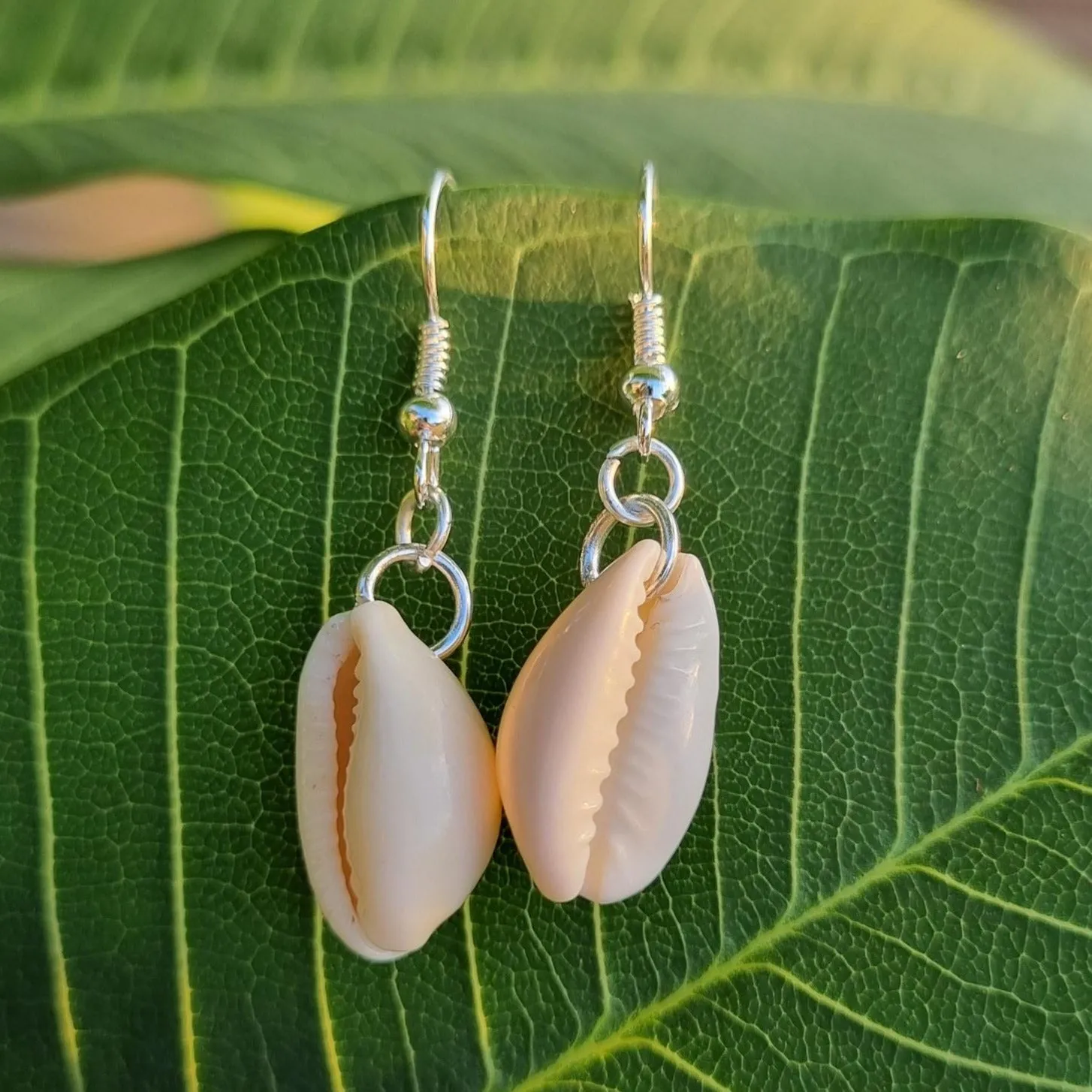 Coastal Cowrie Shell Earrings