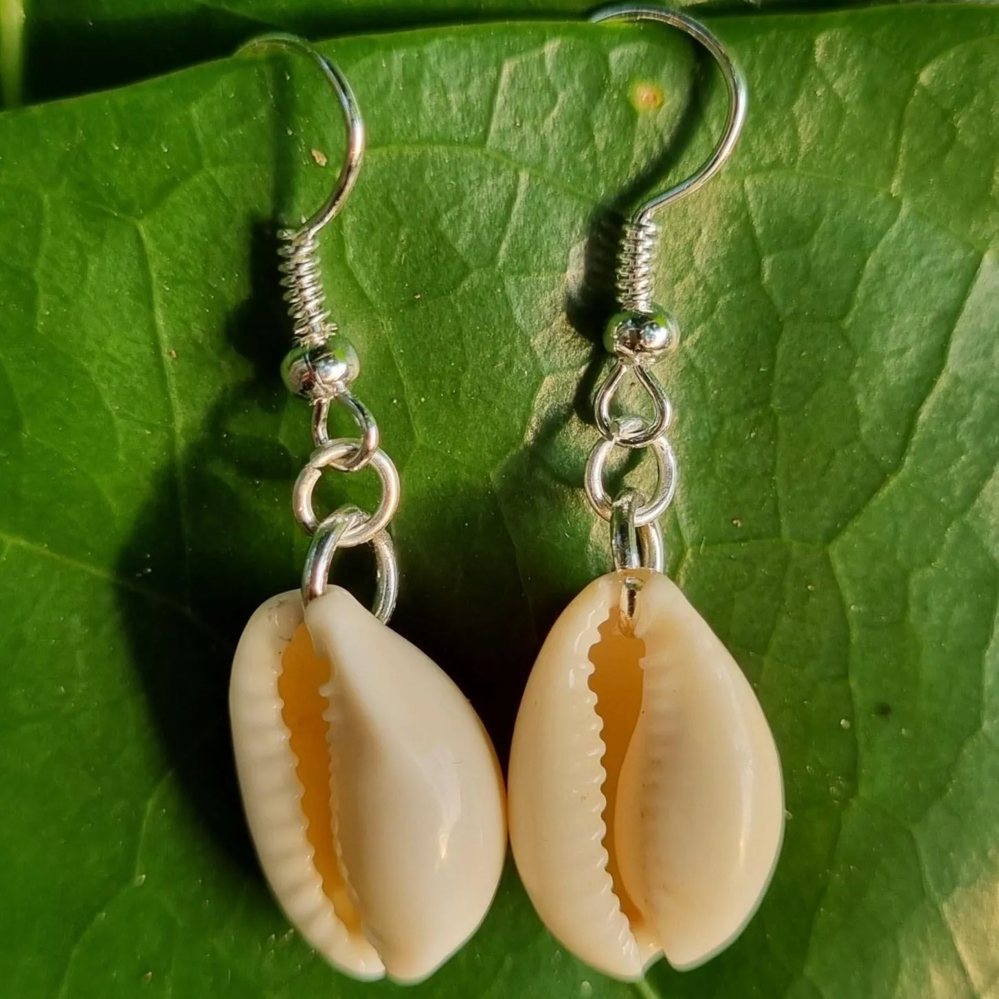 Coastal Cowrie Shell Earrings