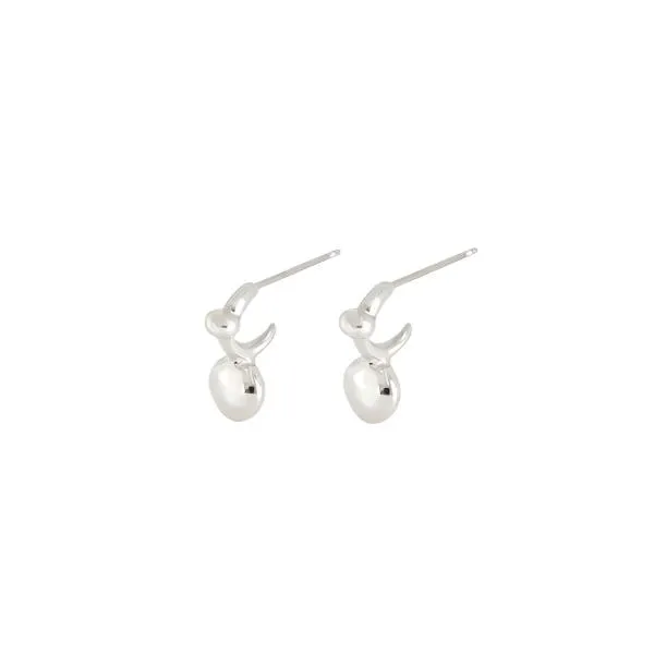 Esul Silver Earrings