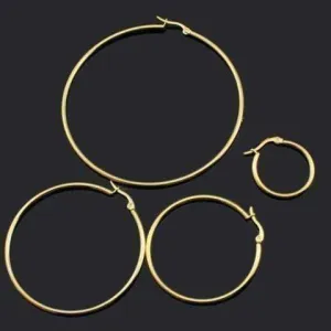 Gold Plated Tubular 316 Stainless Steel Round Classic Hoop Earrings Available in Four Sizes for Women