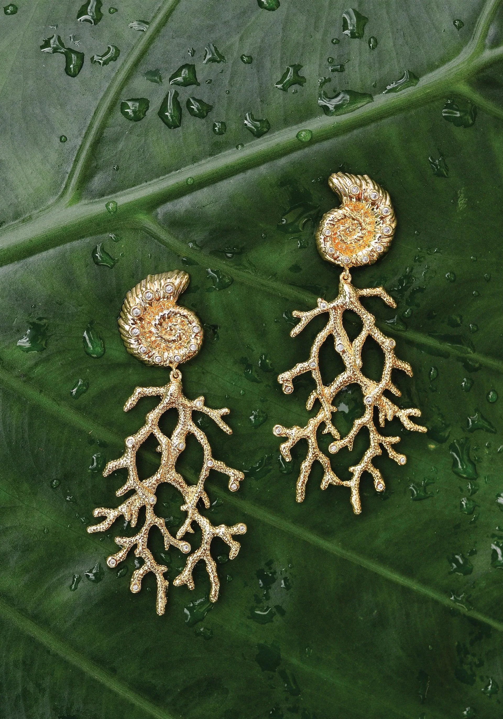 Shell With Coral Drop Earrings